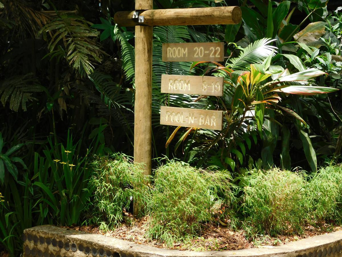 Resort Rainforest Eco Lodge Suva