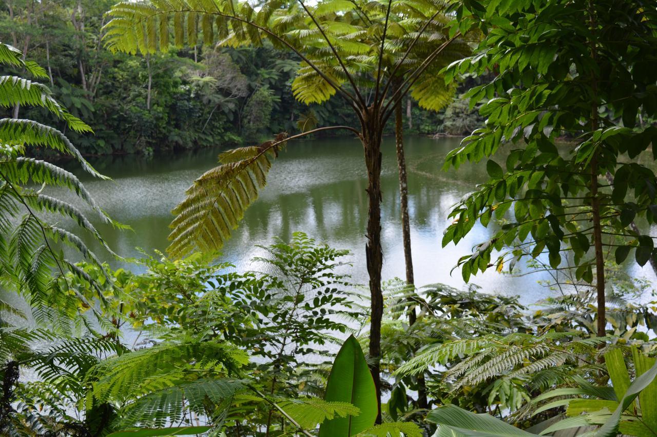Rainforest Eco Lodge 3*