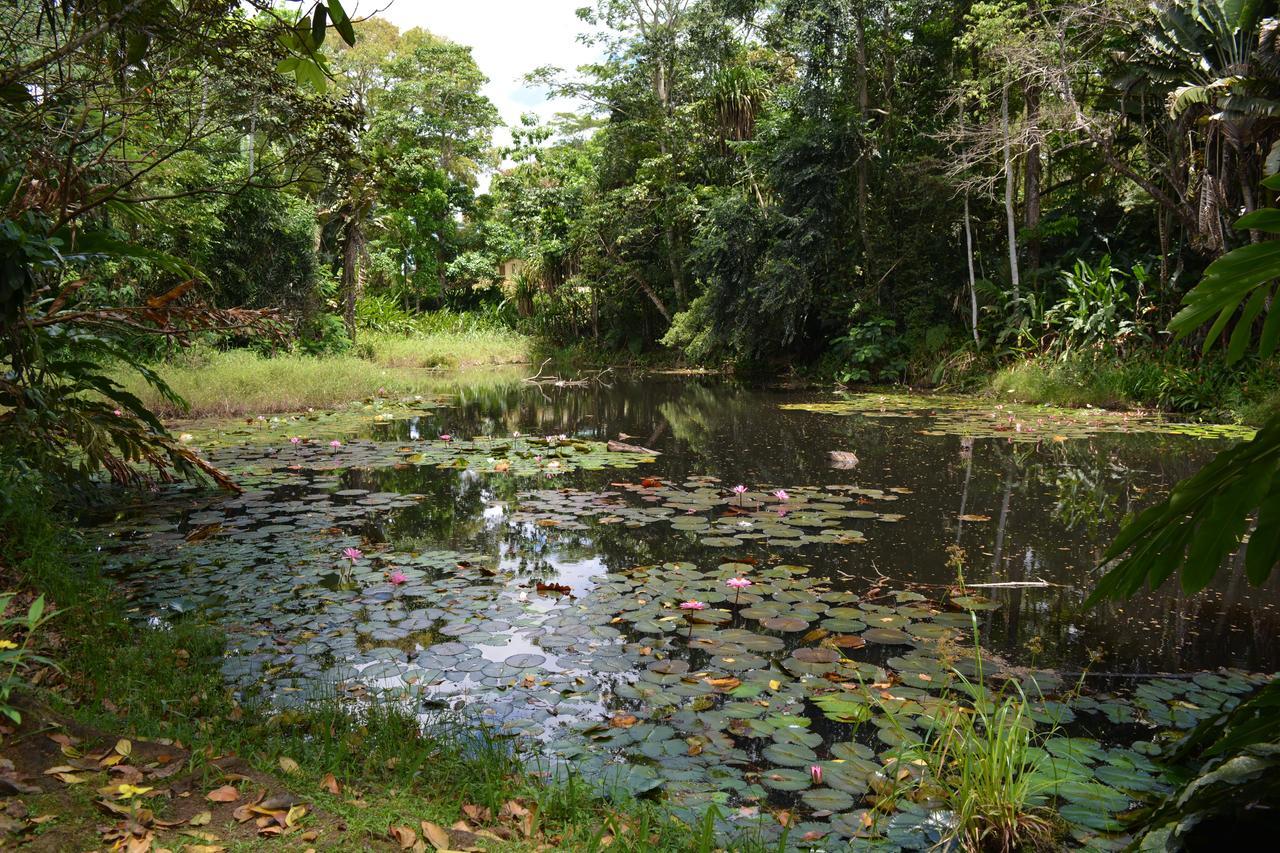 Rainforest Eco Lodge 3*