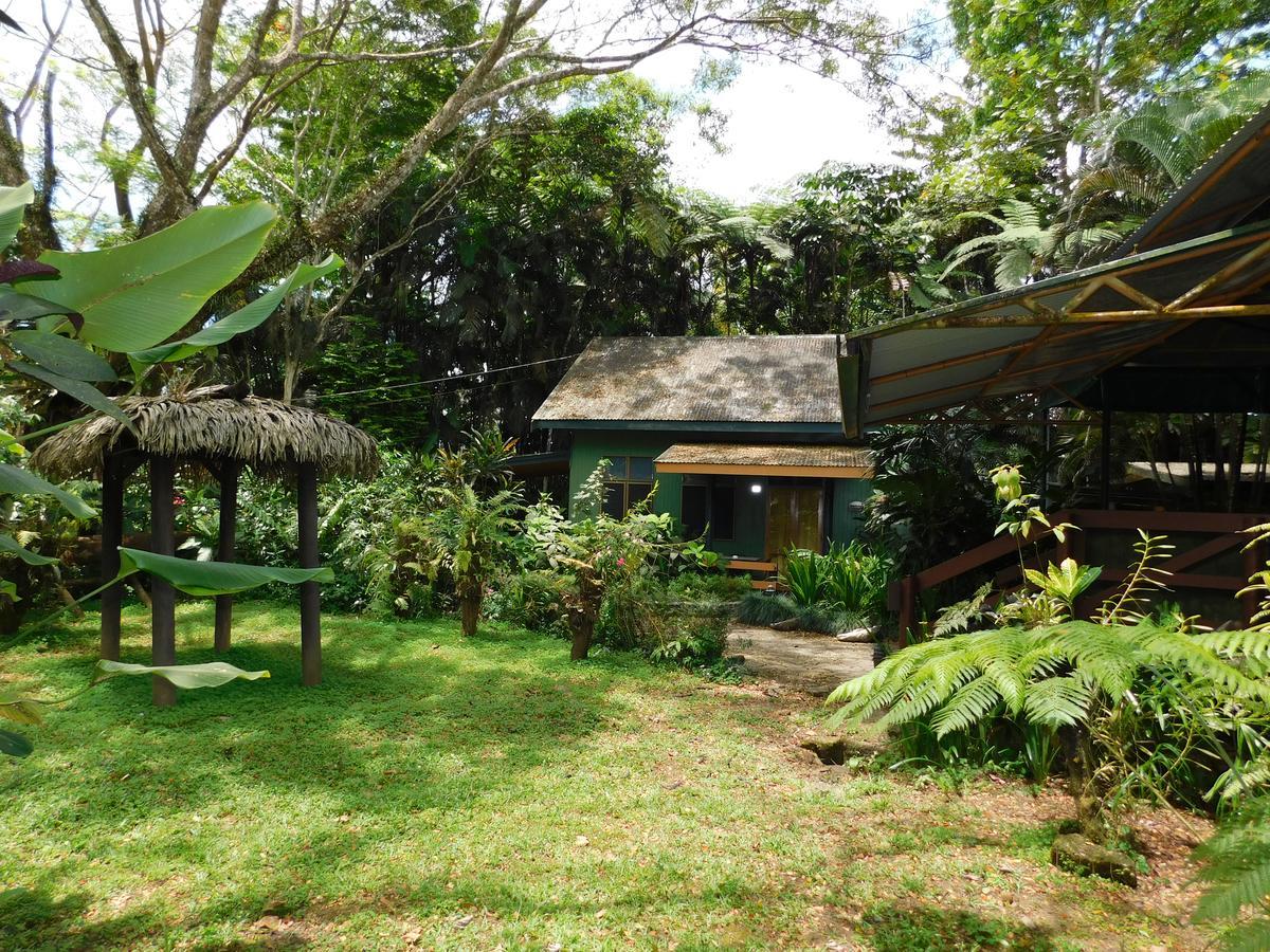 Rainforest Eco Lodge 3*