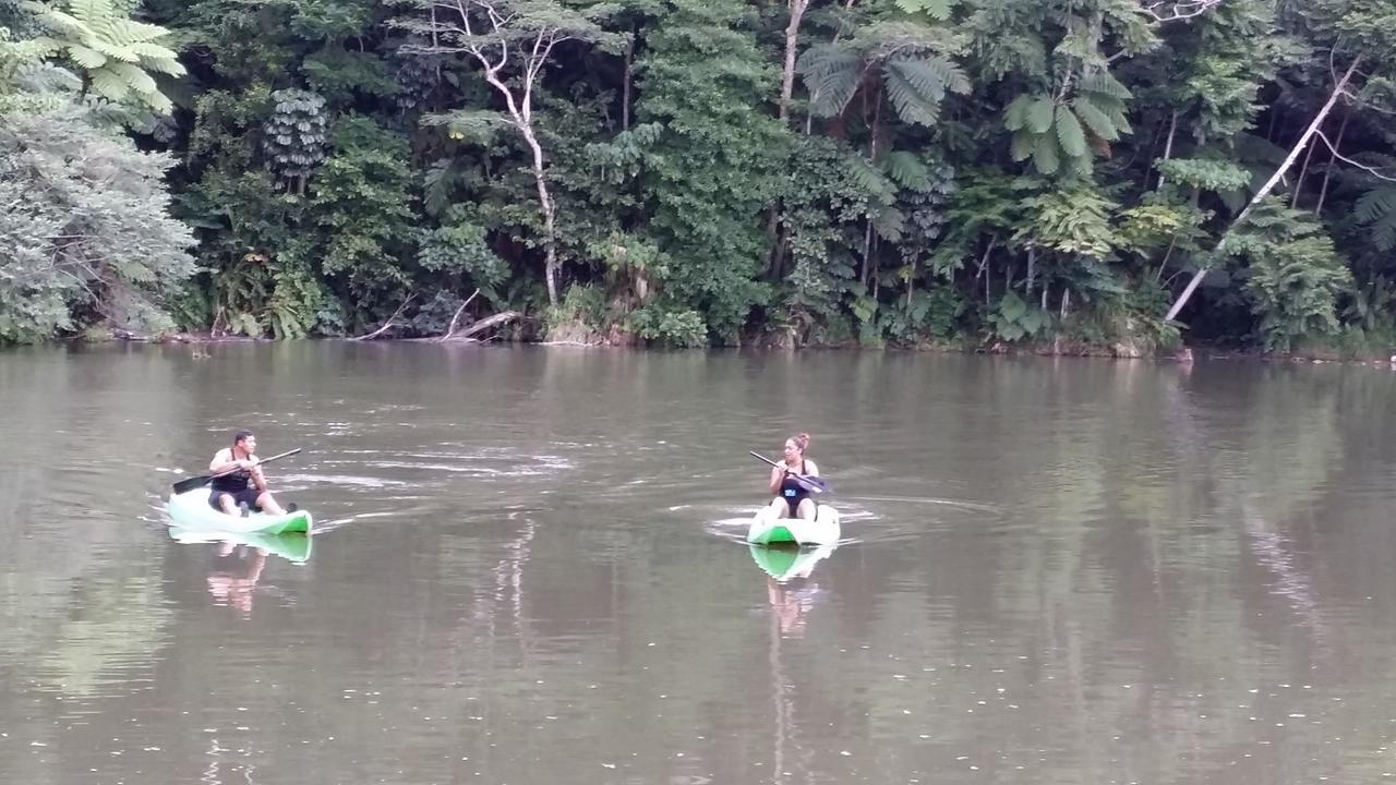 Rainforest Eco Lodge Resort