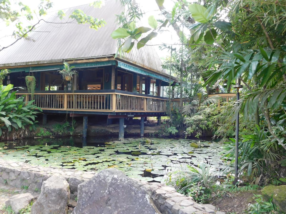 Rainforest Eco Lodge Resort Suva