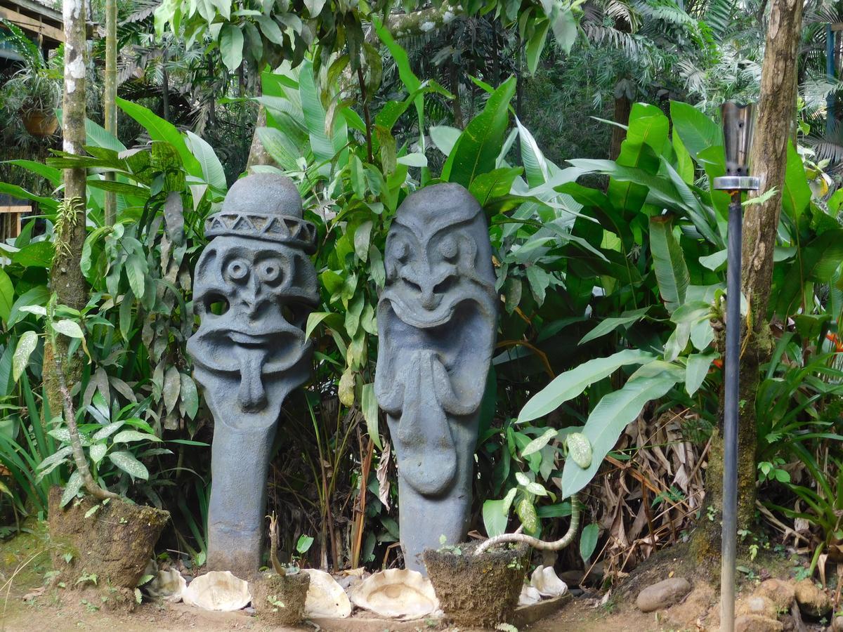 Rainforest Eco Lodge
