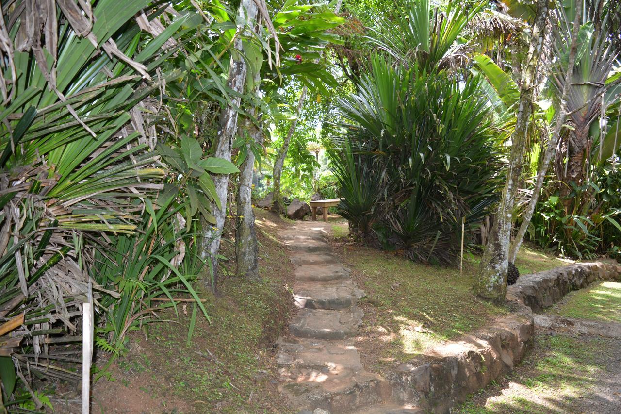 Resort Rainforest Eco Lodge