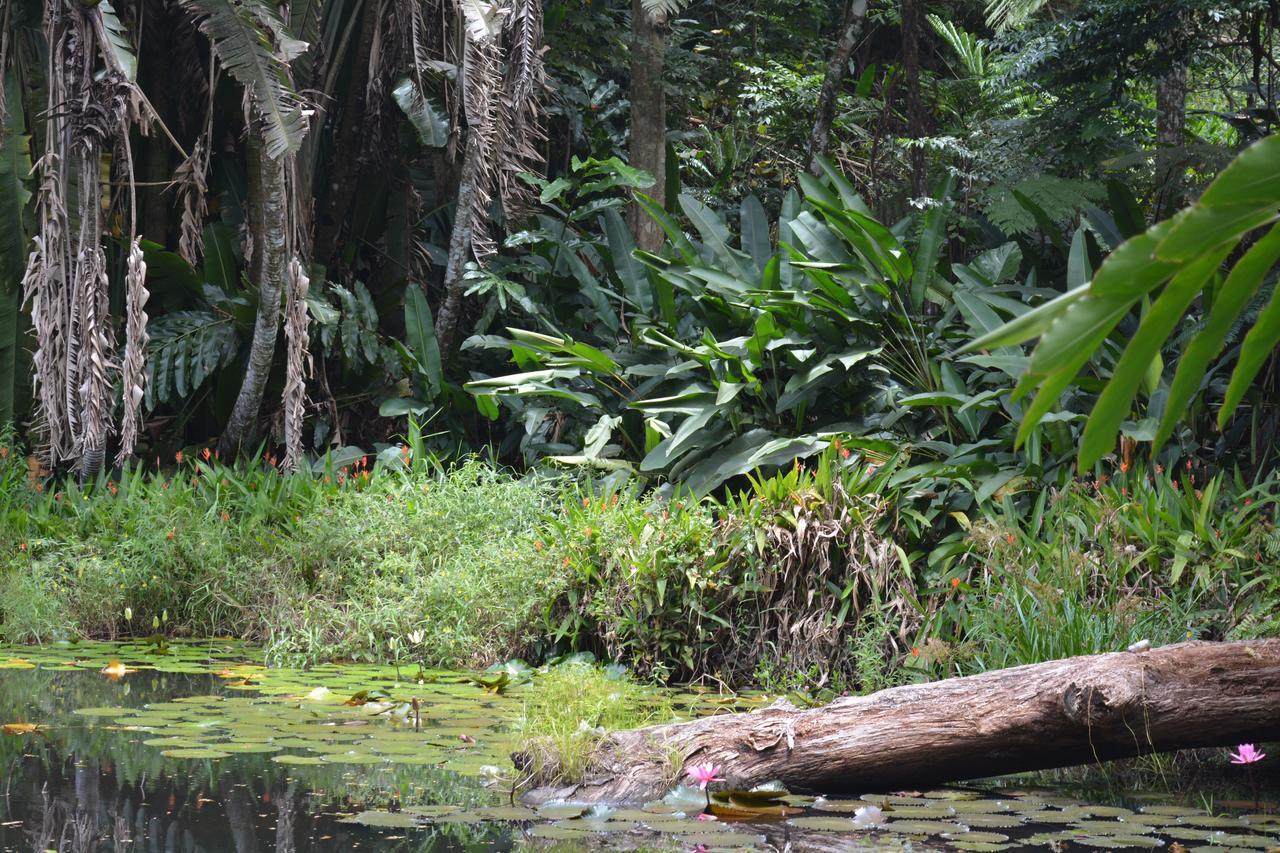 Resort Rainforest Eco Lodge 3*
