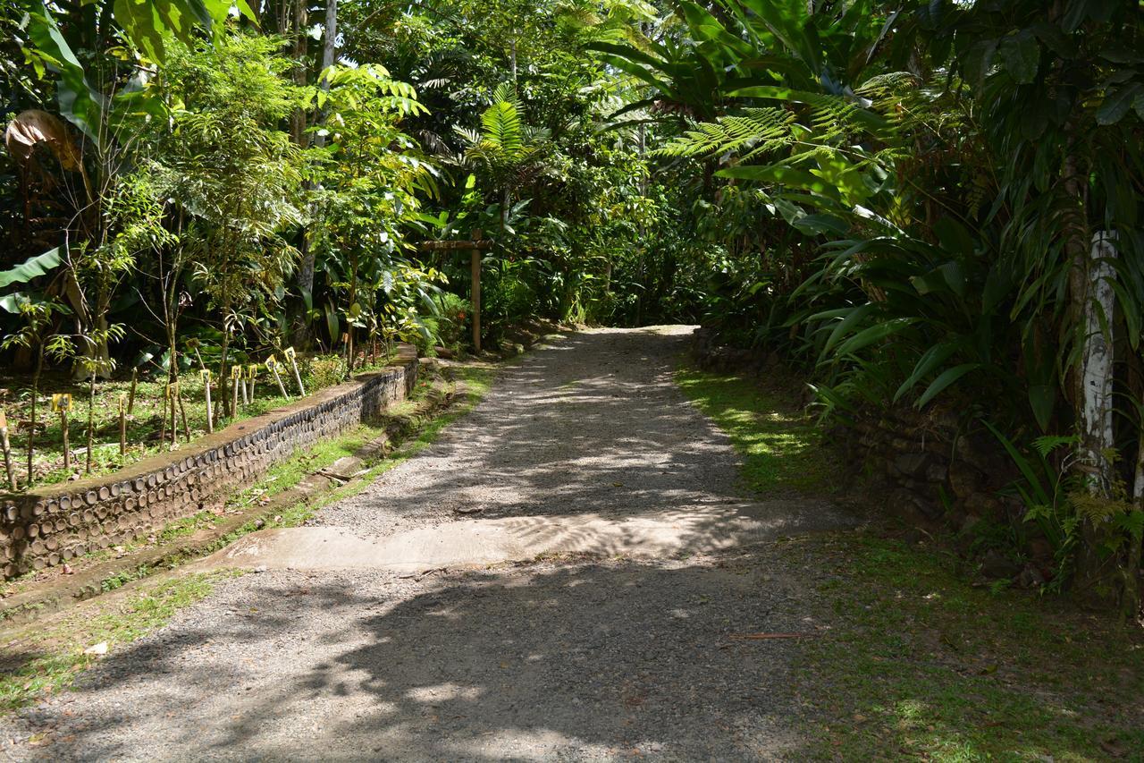 Resort Rainforest Eco Lodge 3*