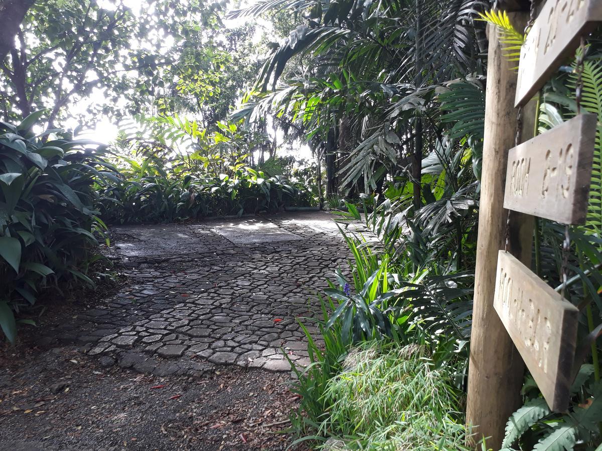 Rainforest Eco Lodge Resort Suva