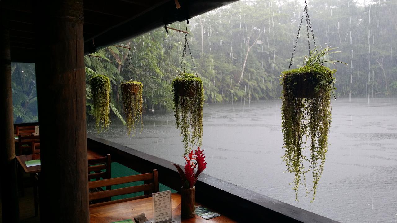 Resort Rainforest Eco Lodge