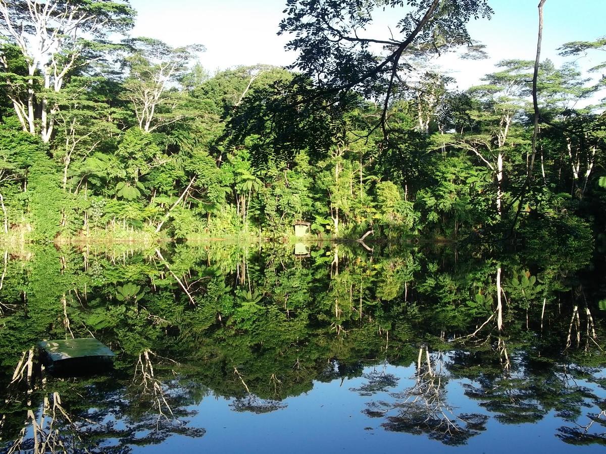 Rainforest Eco Lodge Resort Suva