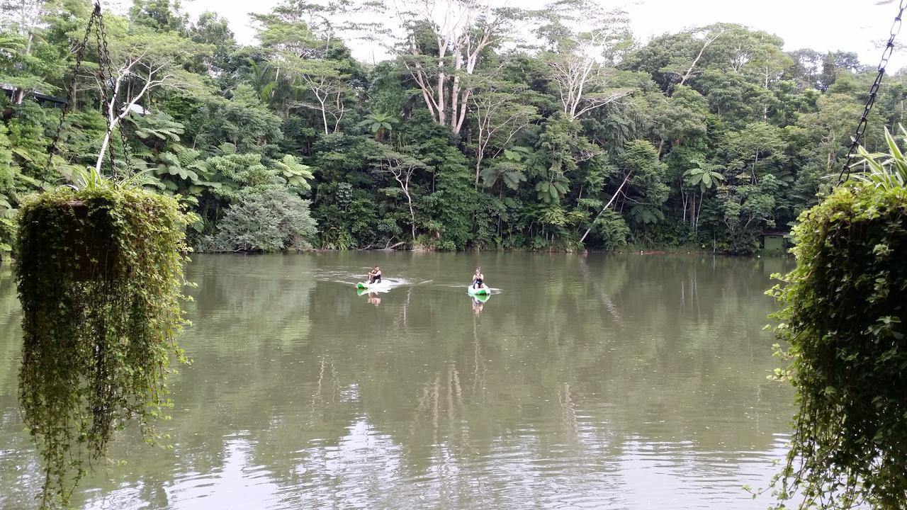 Rainforest Eco Lodge Resort Suva
