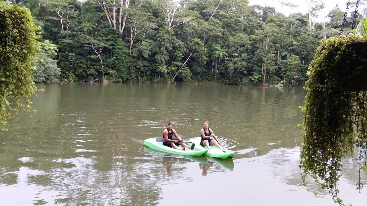 Rainforest Eco Lodge Resort Suva