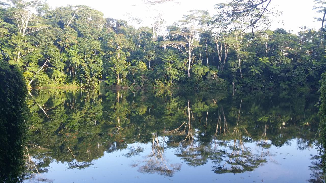 Resort Rainforest Eco Lodge 3*