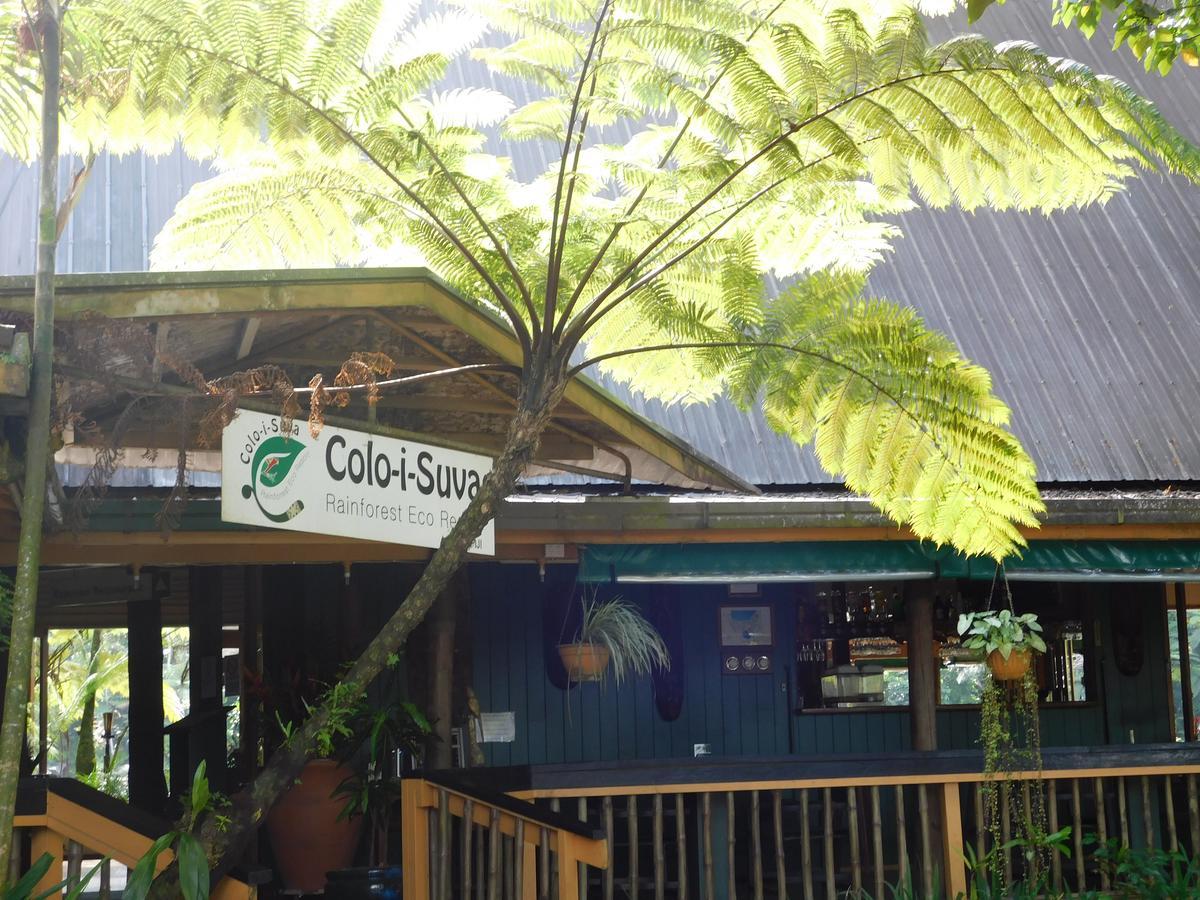 Rainforest Eco Lodge Resort