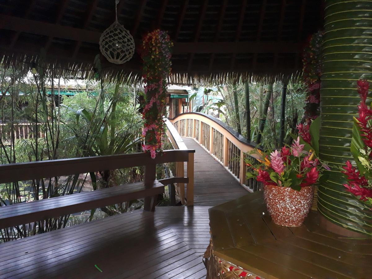 Rainforest Eco Lodge 3* Suva