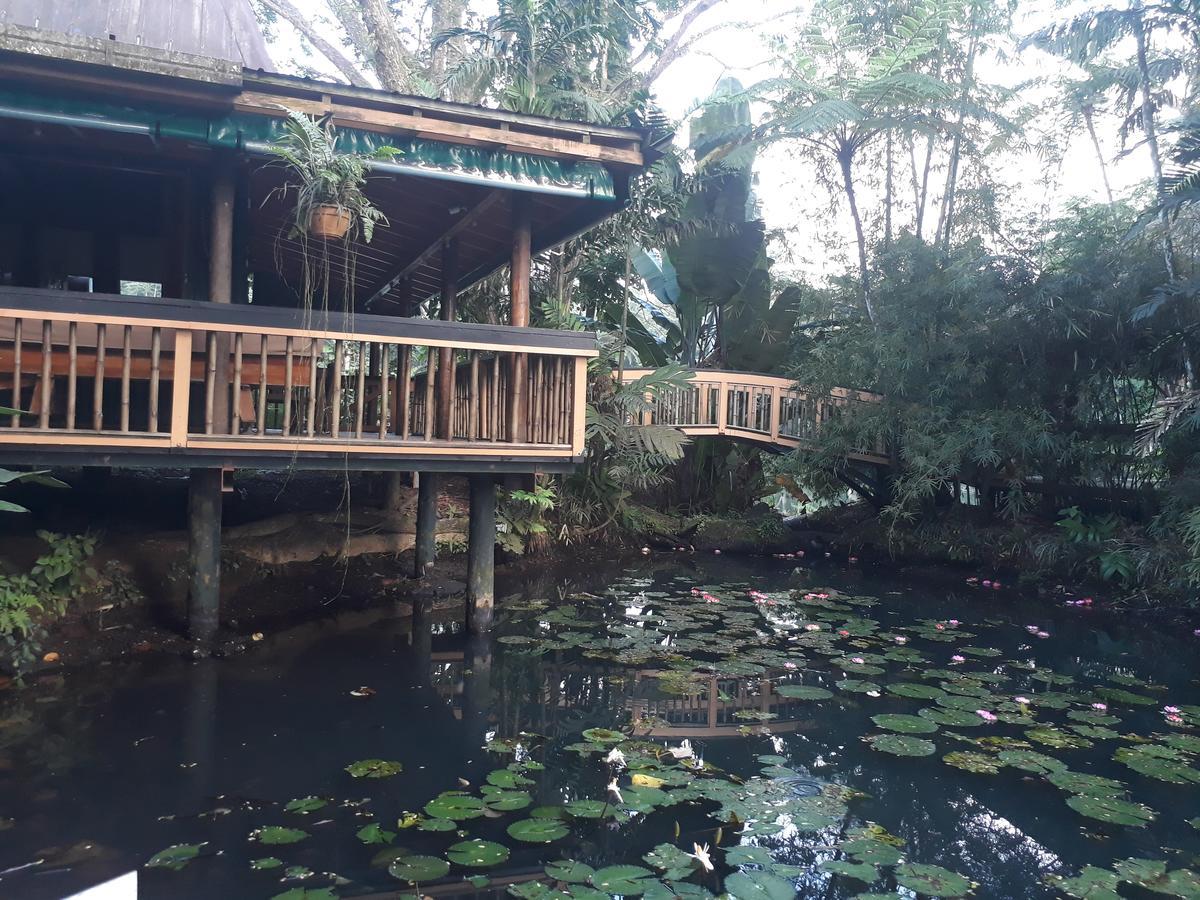 Rainforest Eco Lodge