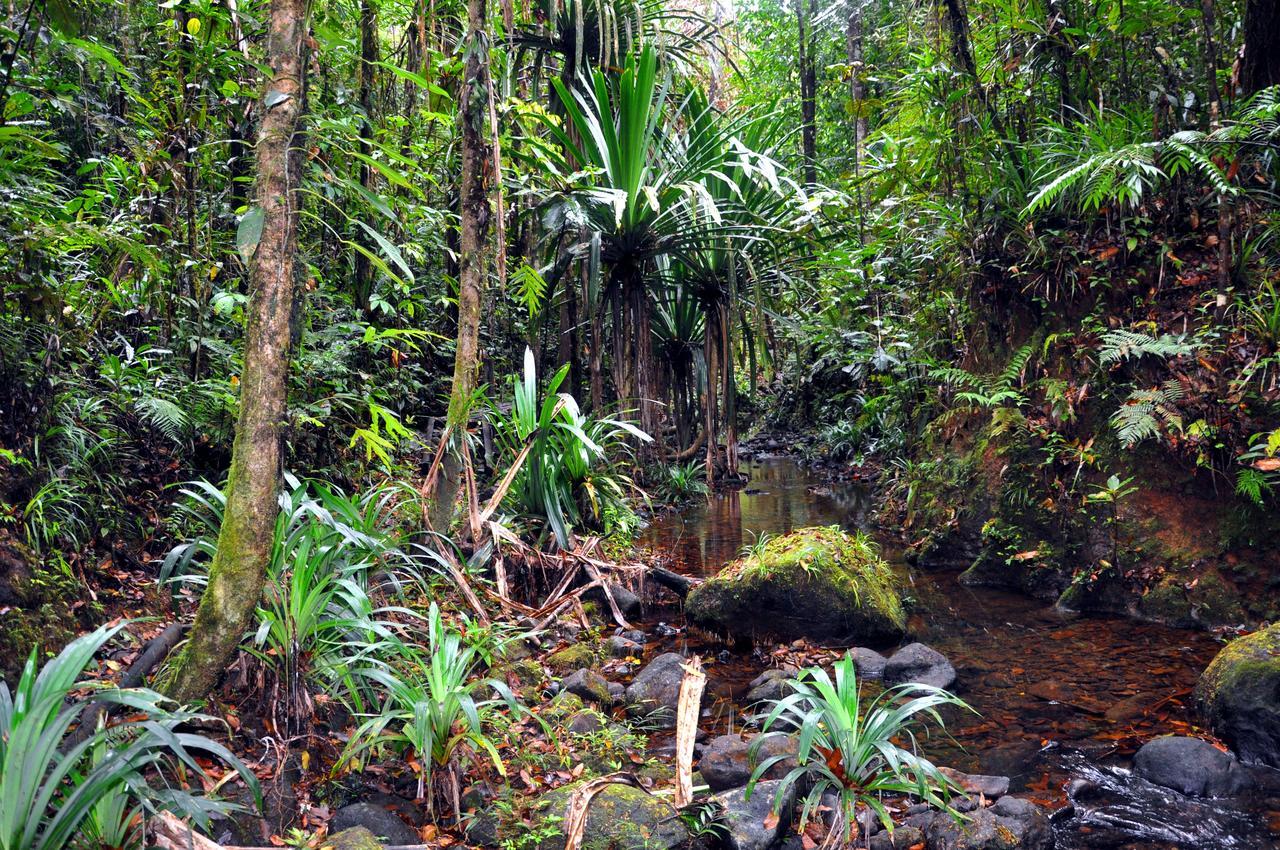 Rainforest Eco Lodge
