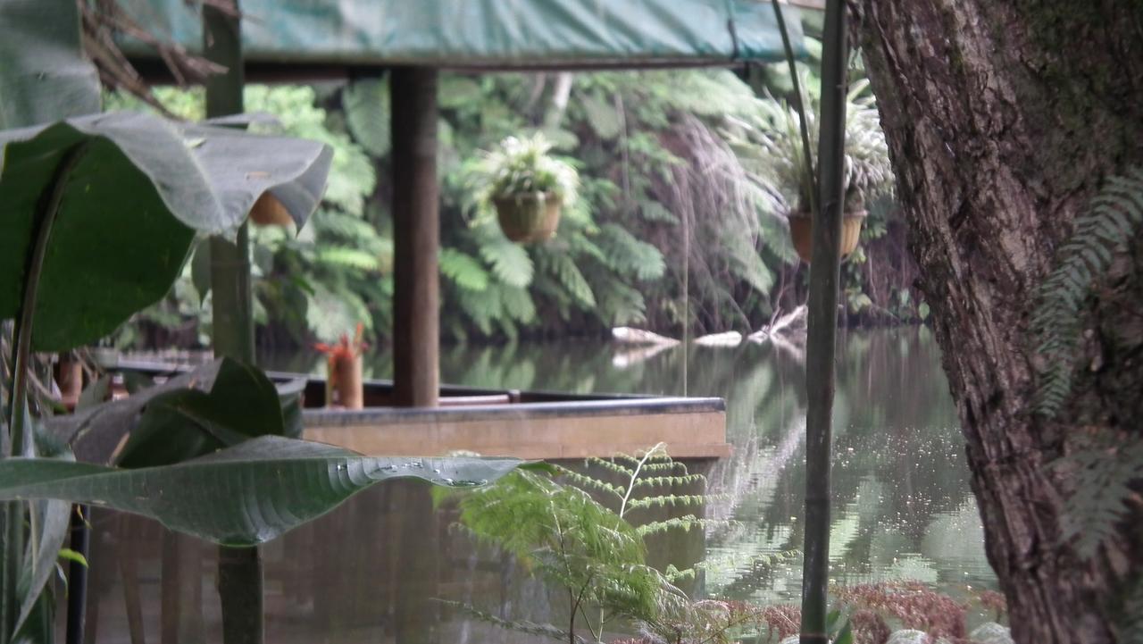 Rainforest Eco Lodge Resort Suva