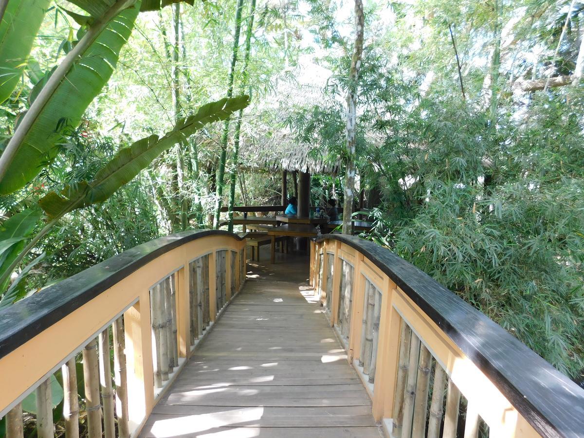 Rainforest Eco Lodge Resort