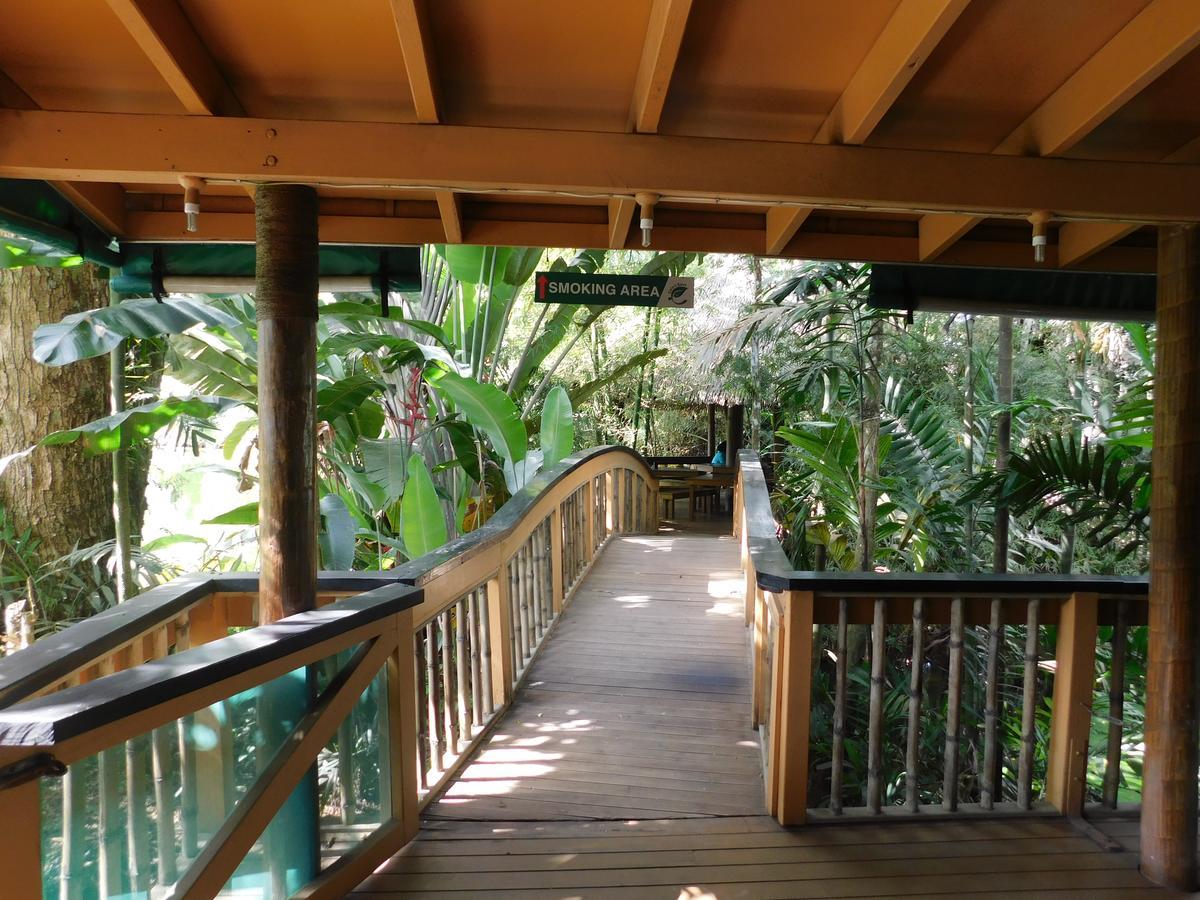Rainforest Eco Lodge Resort Suva