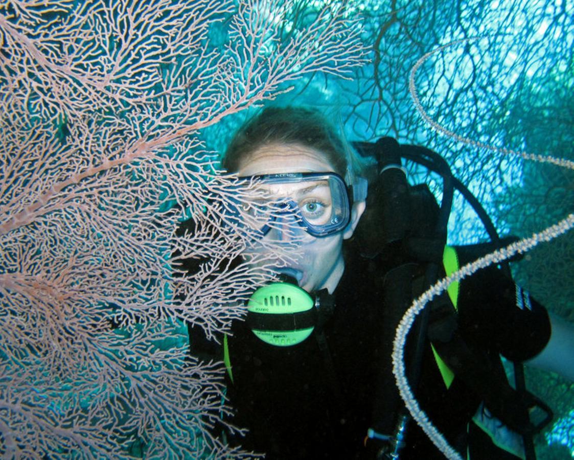 Resort Great Sea Reef