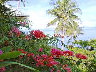 Bed & Breakfast Naveria Heights Savusavu