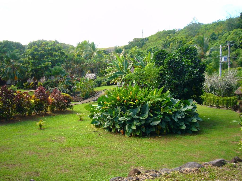 Resort Gecko's Sigatoka