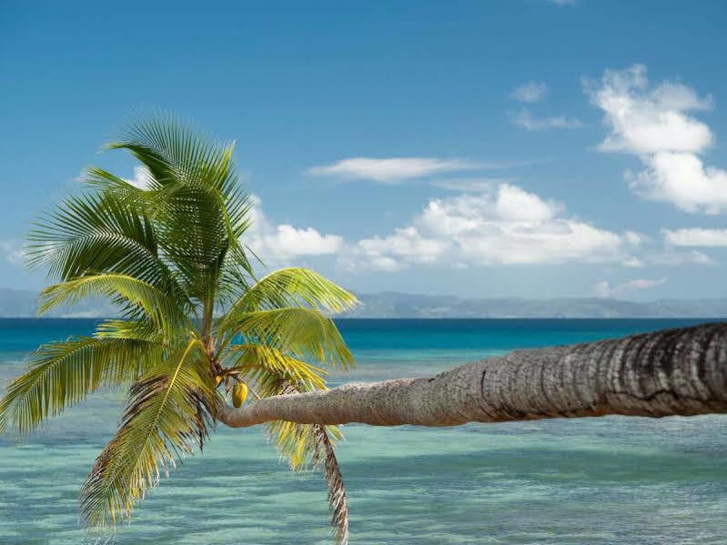 Taveuni Palms Resort