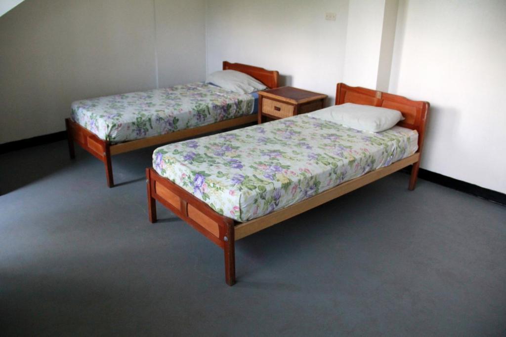 Hostel Bamboo Backpackers *