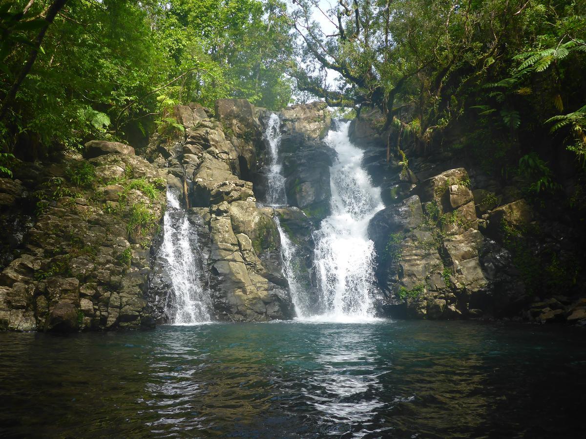 Taveuni Palms 5*