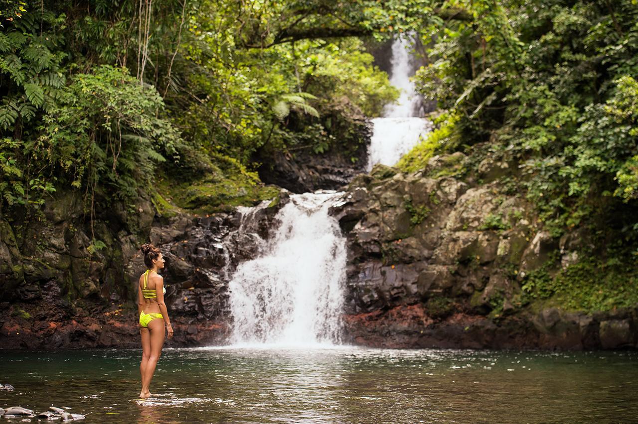 Taveuni Island & 5*