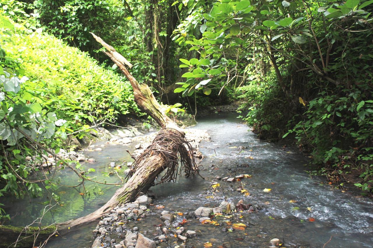 Villa Sigasiga Sands Boutique Savusavu