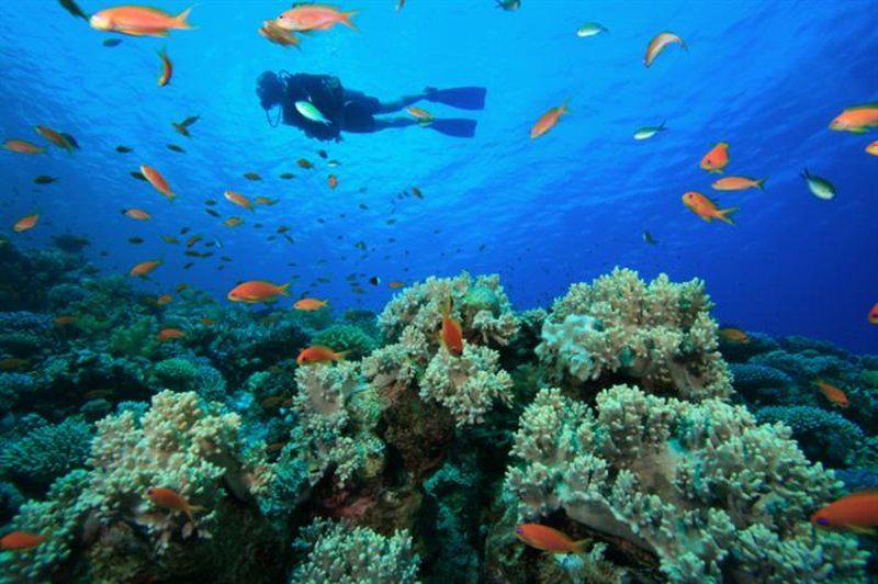 Resort Yasawa Island &