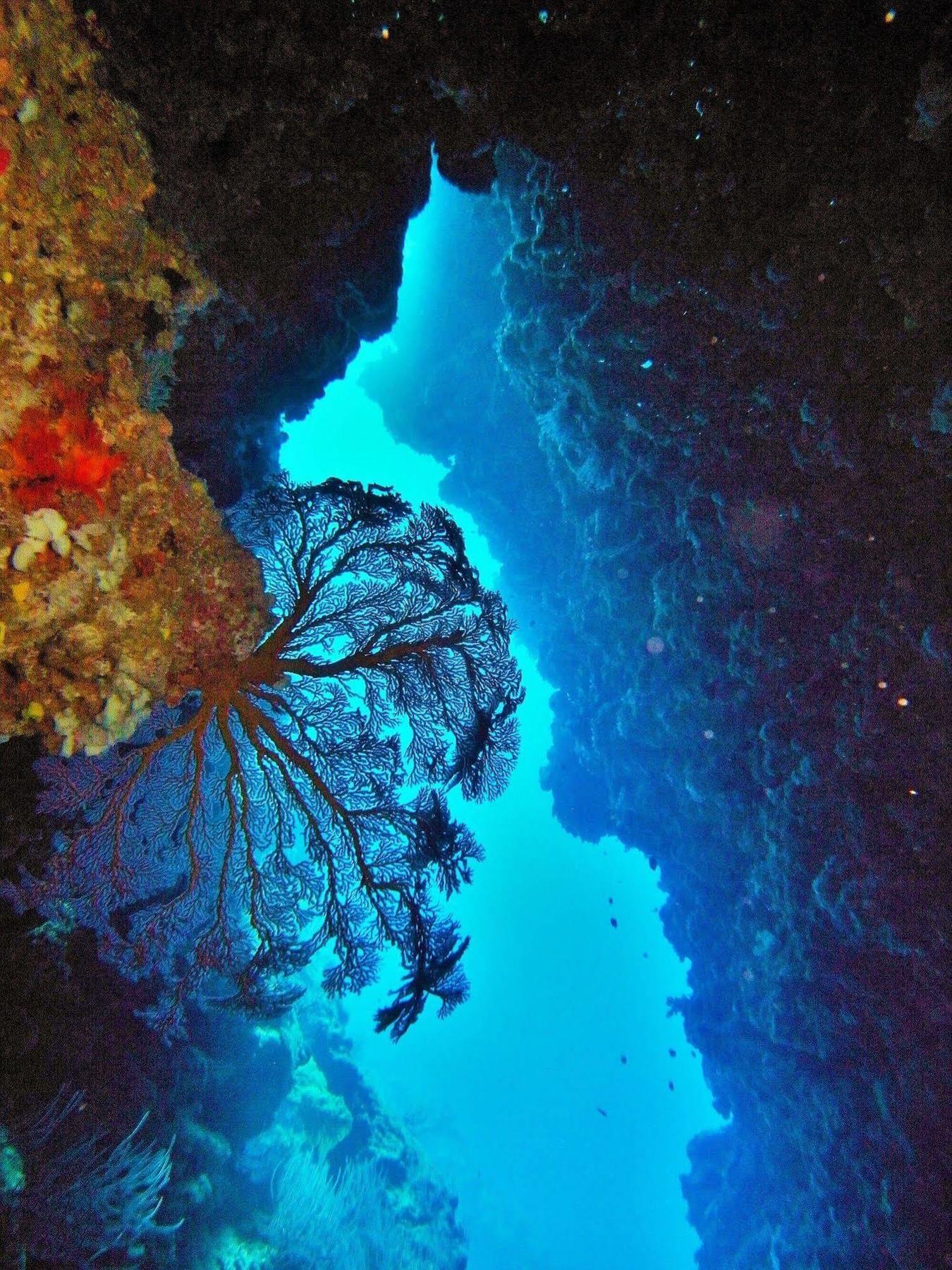 Resort Mai Dive' Astrolabe Reef 4*