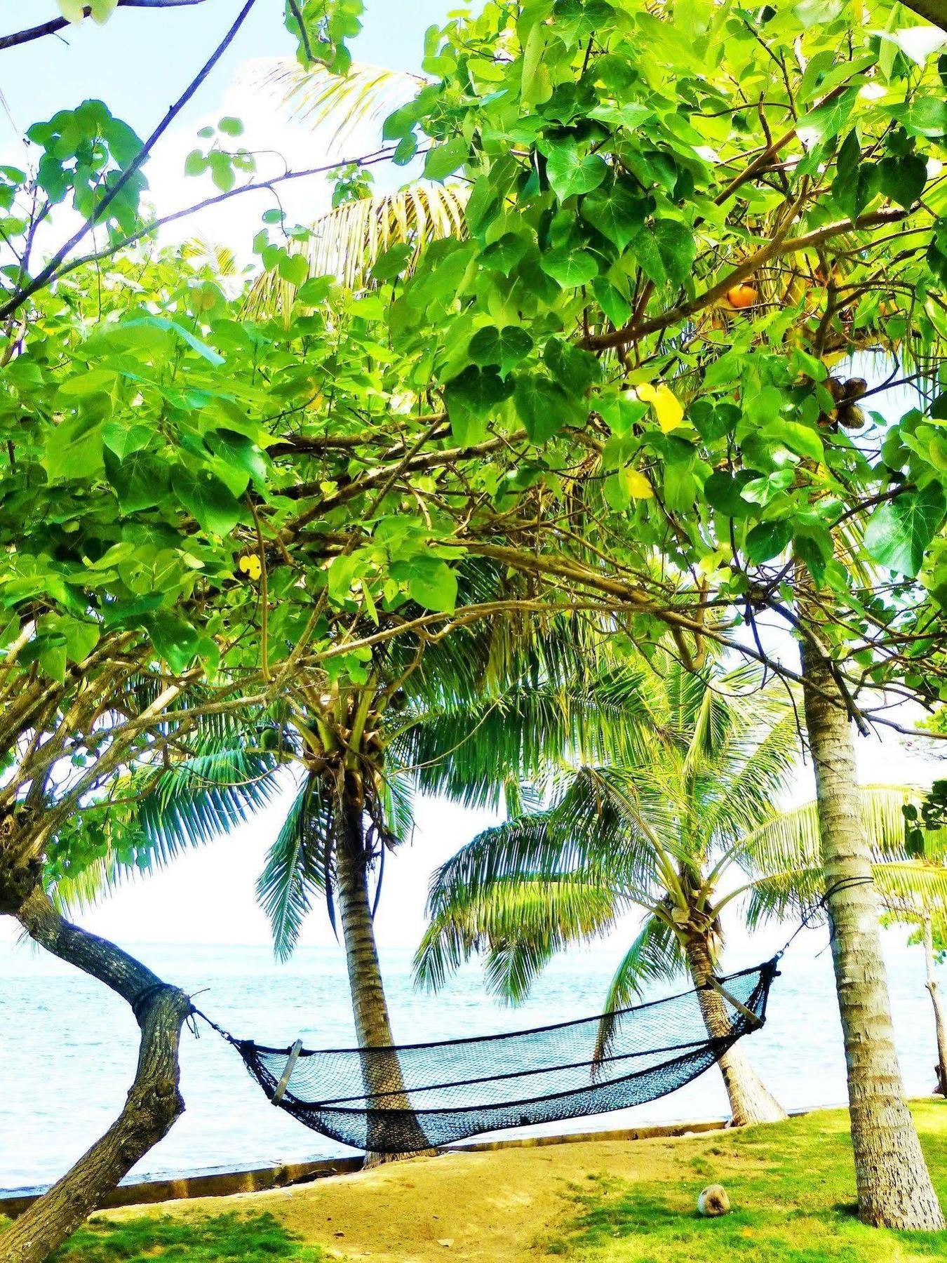 Mai Dive' Astrolabe Reef Resort
