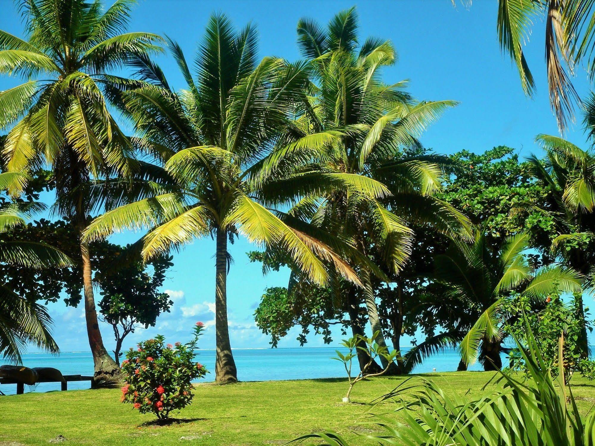 Resort Mai Dive' Astrolabe Reef 4*