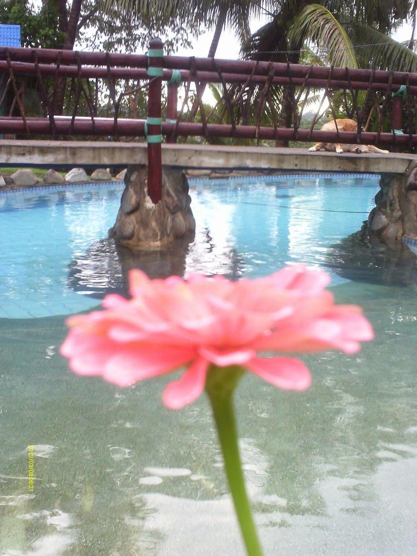 Resort Stoney Creek 3*
