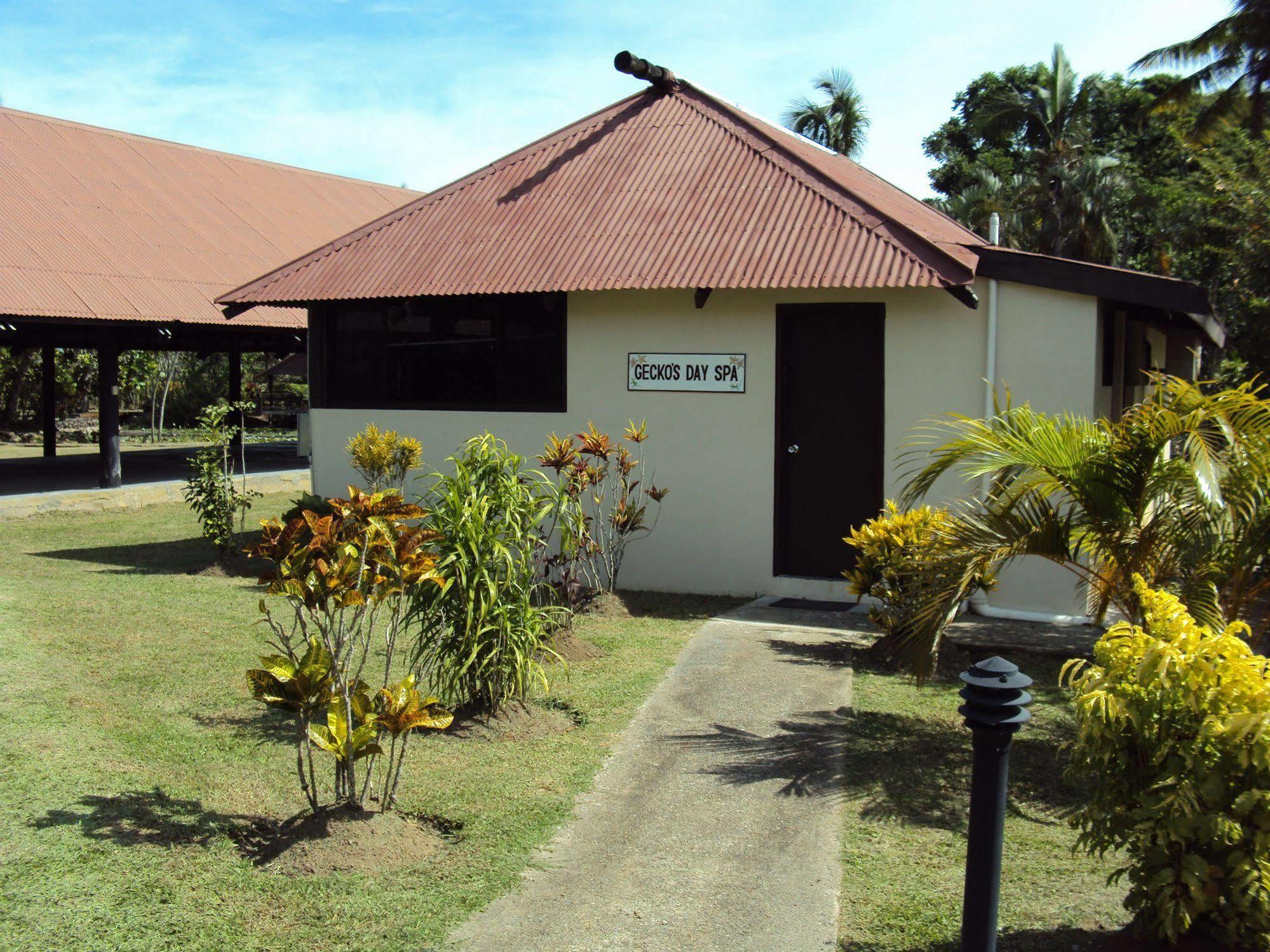 Gecko's 3* Sigatoka