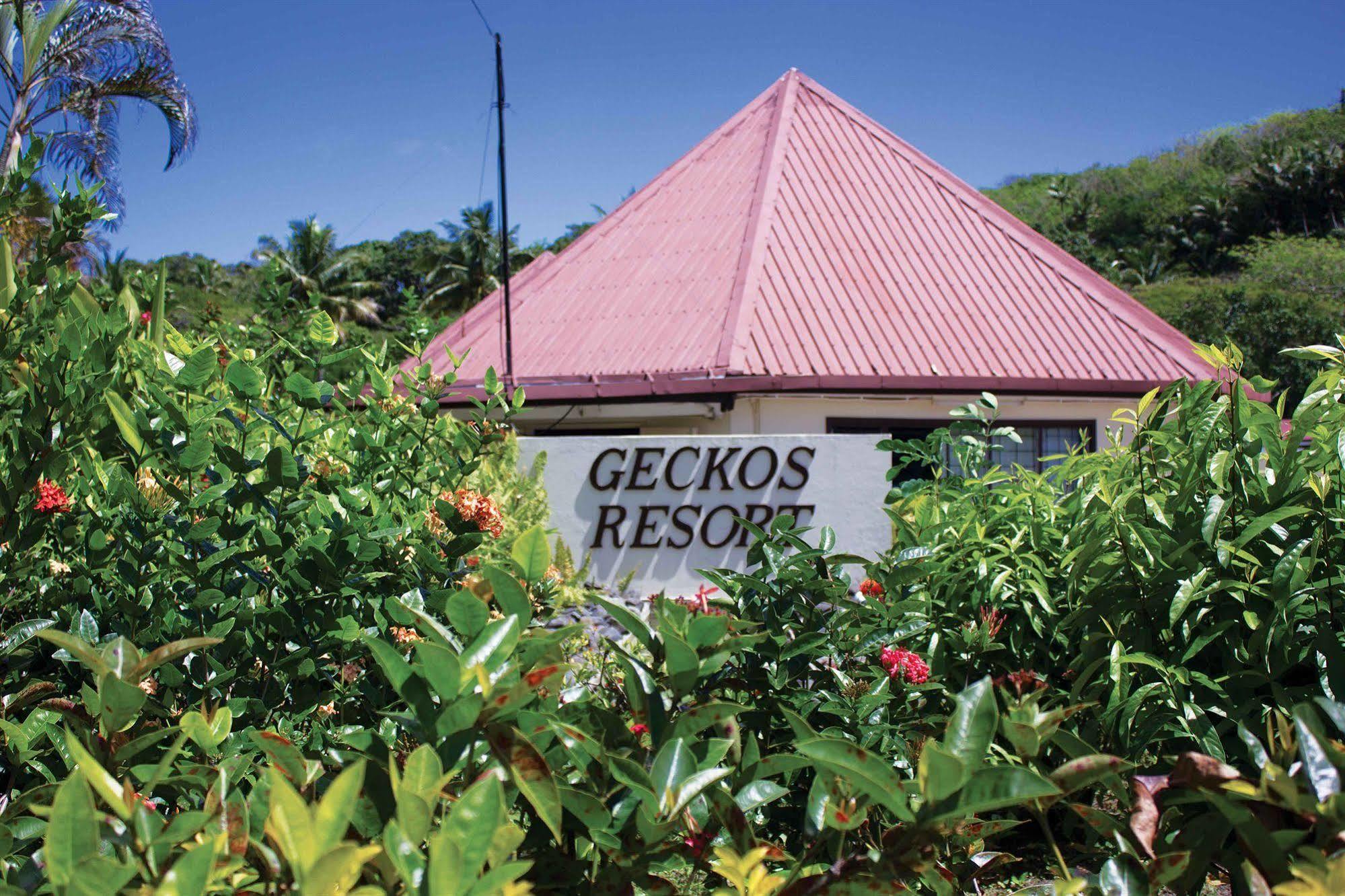 Gecko's