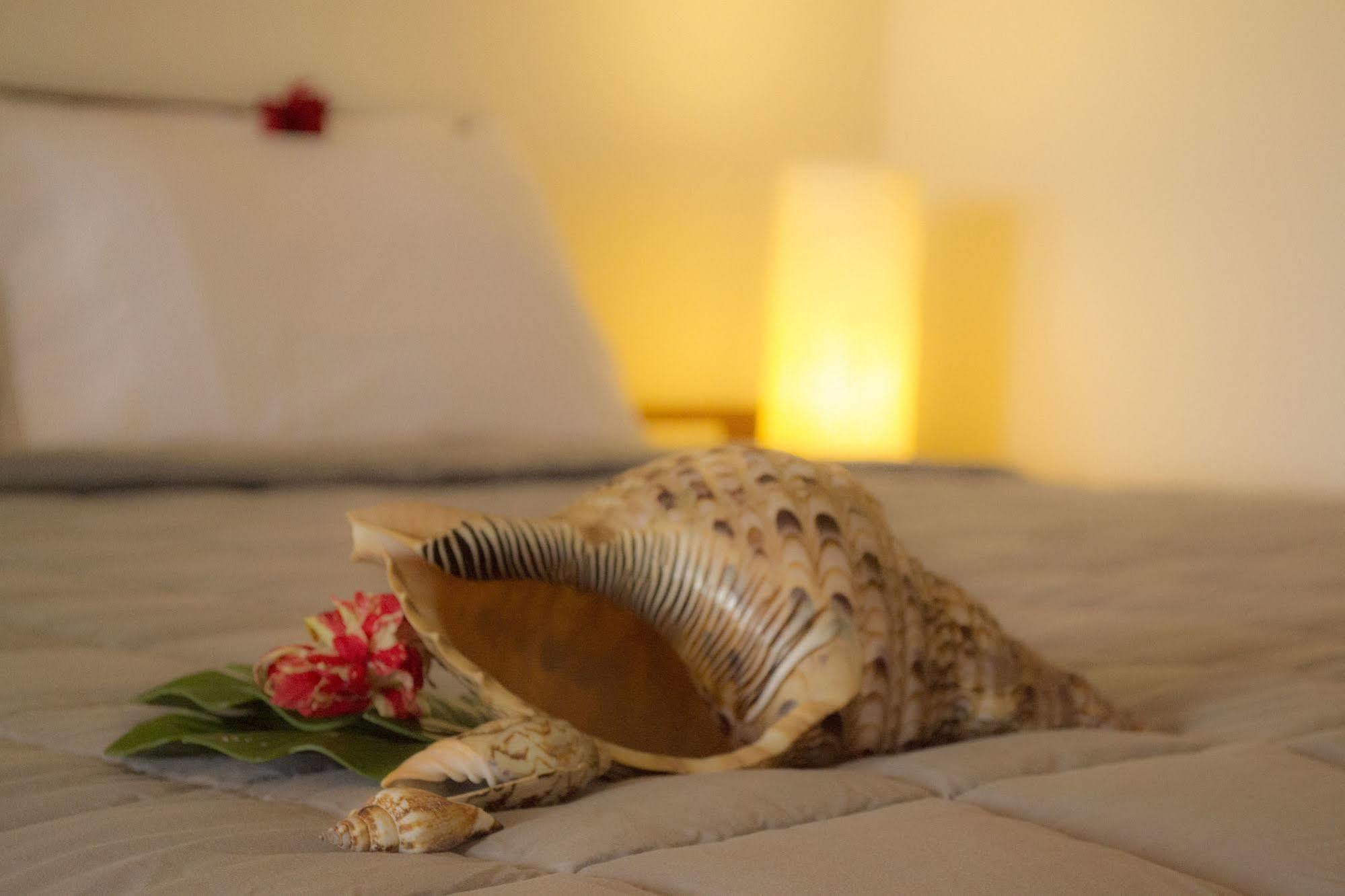 Relax Fiji 3* Nadi