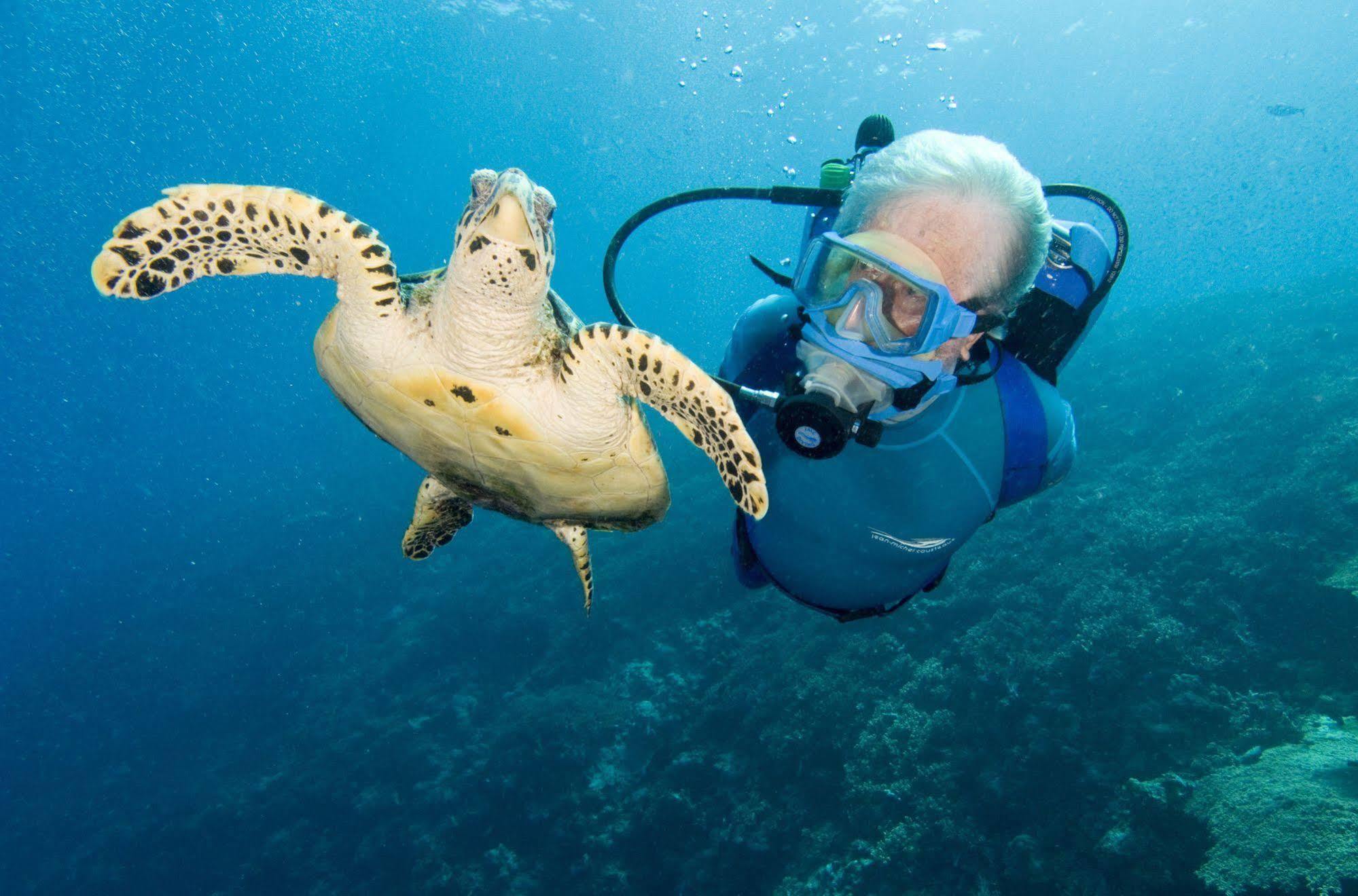 Hotel Jean Michel Cousteau Rst Fiji 5*