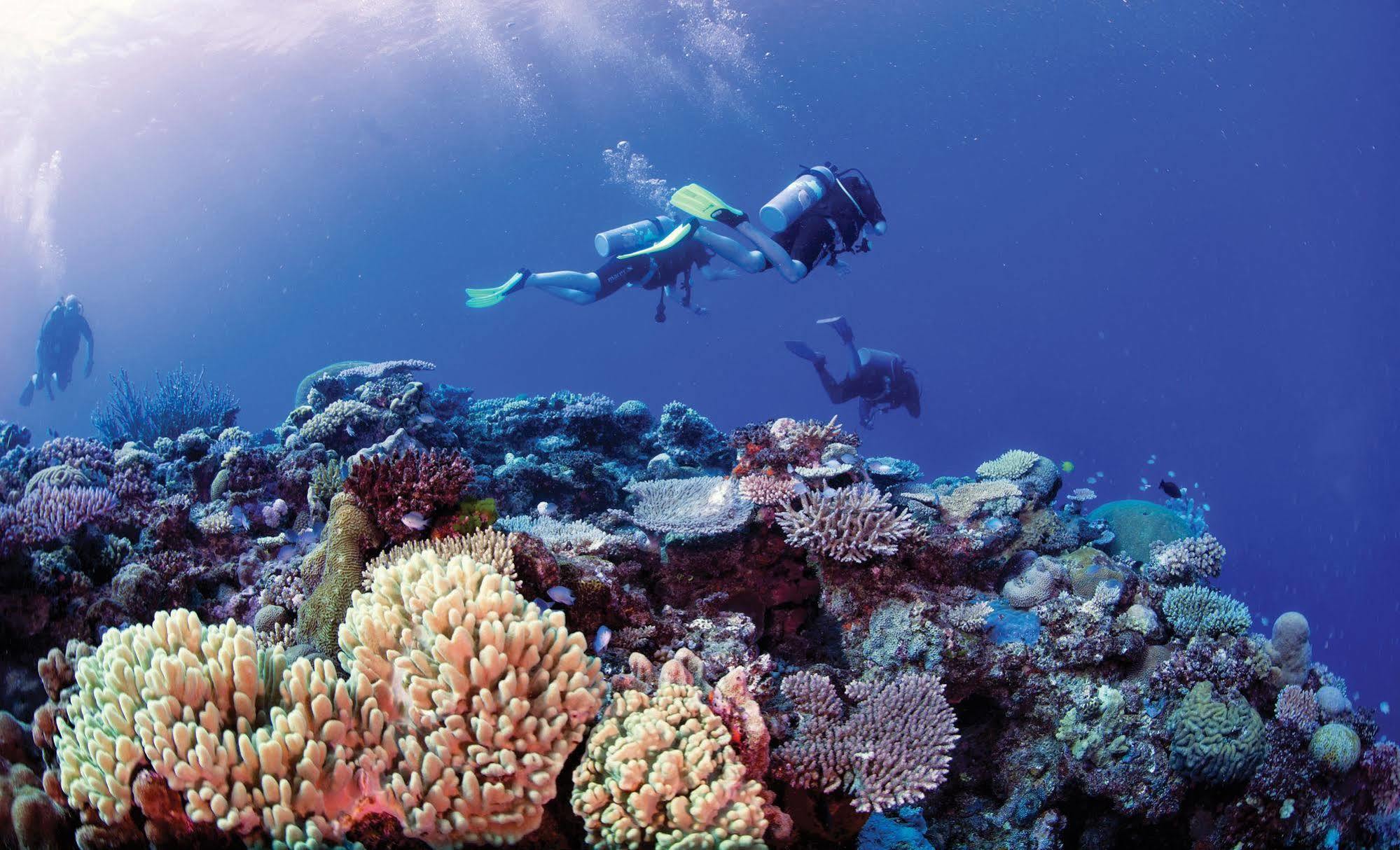 Mantaray Island 3*