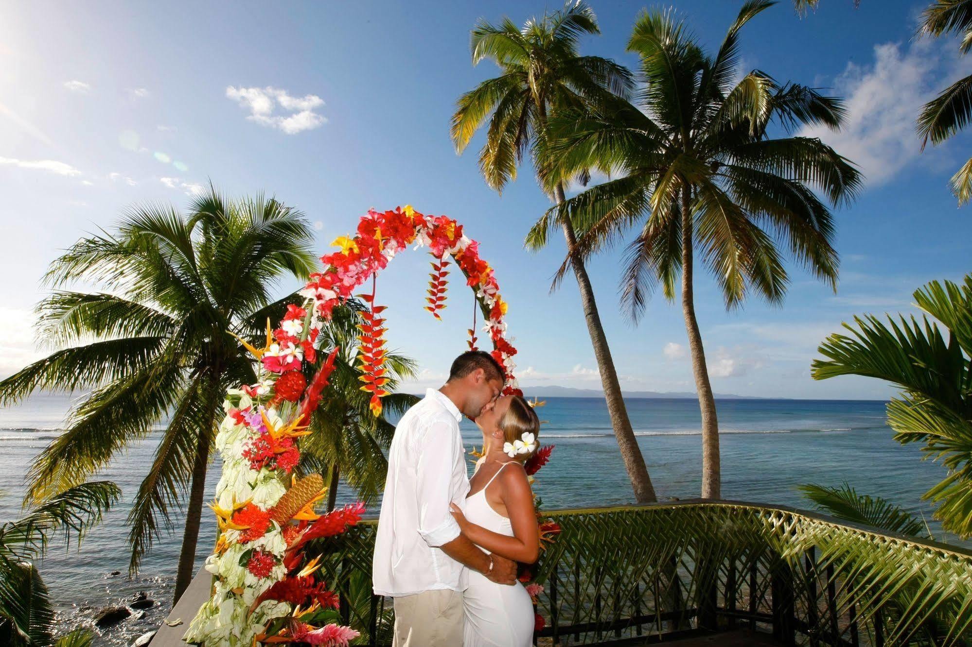 Taveuni Palms