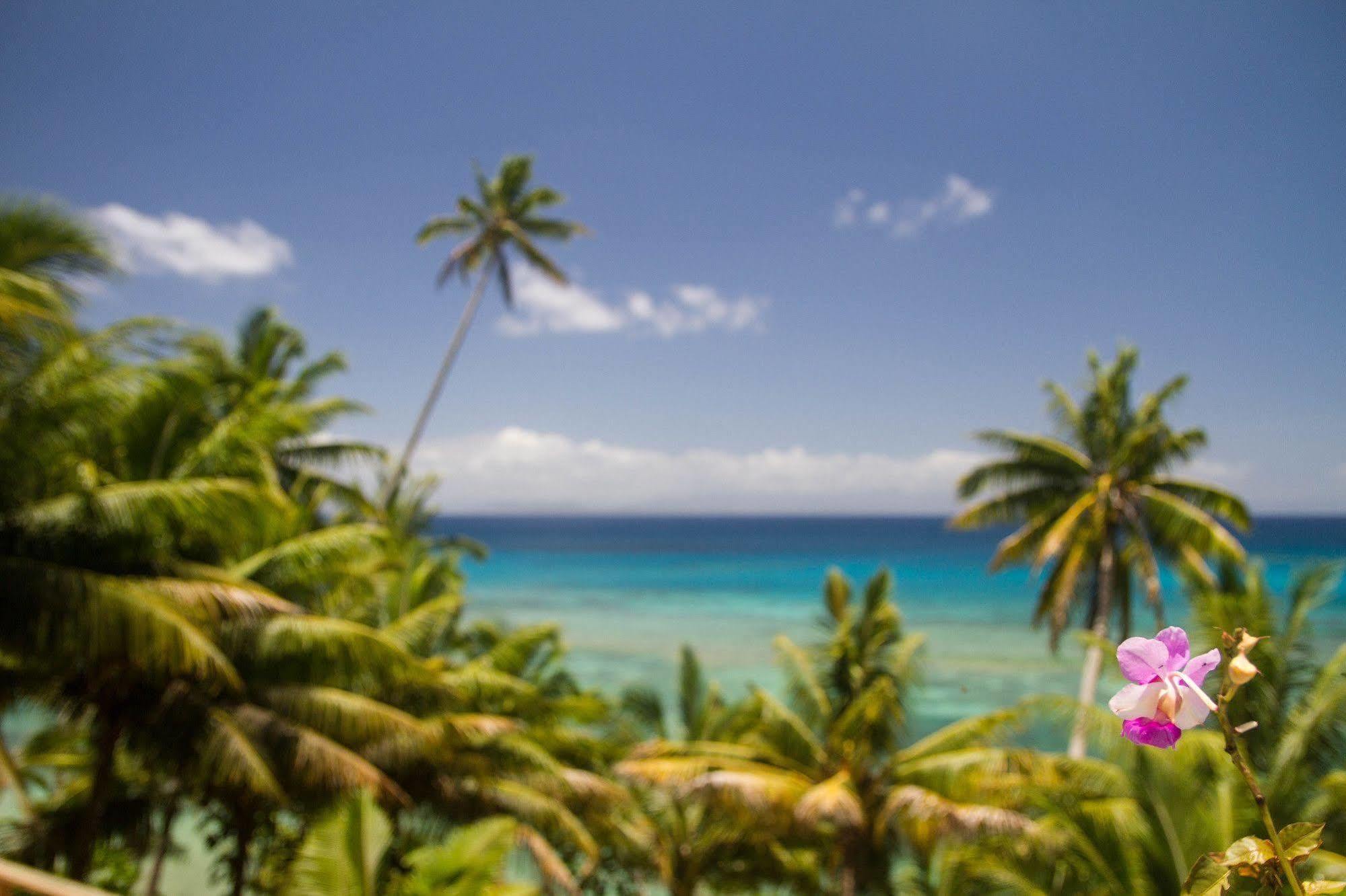 Taveuni Palms Resort Matei