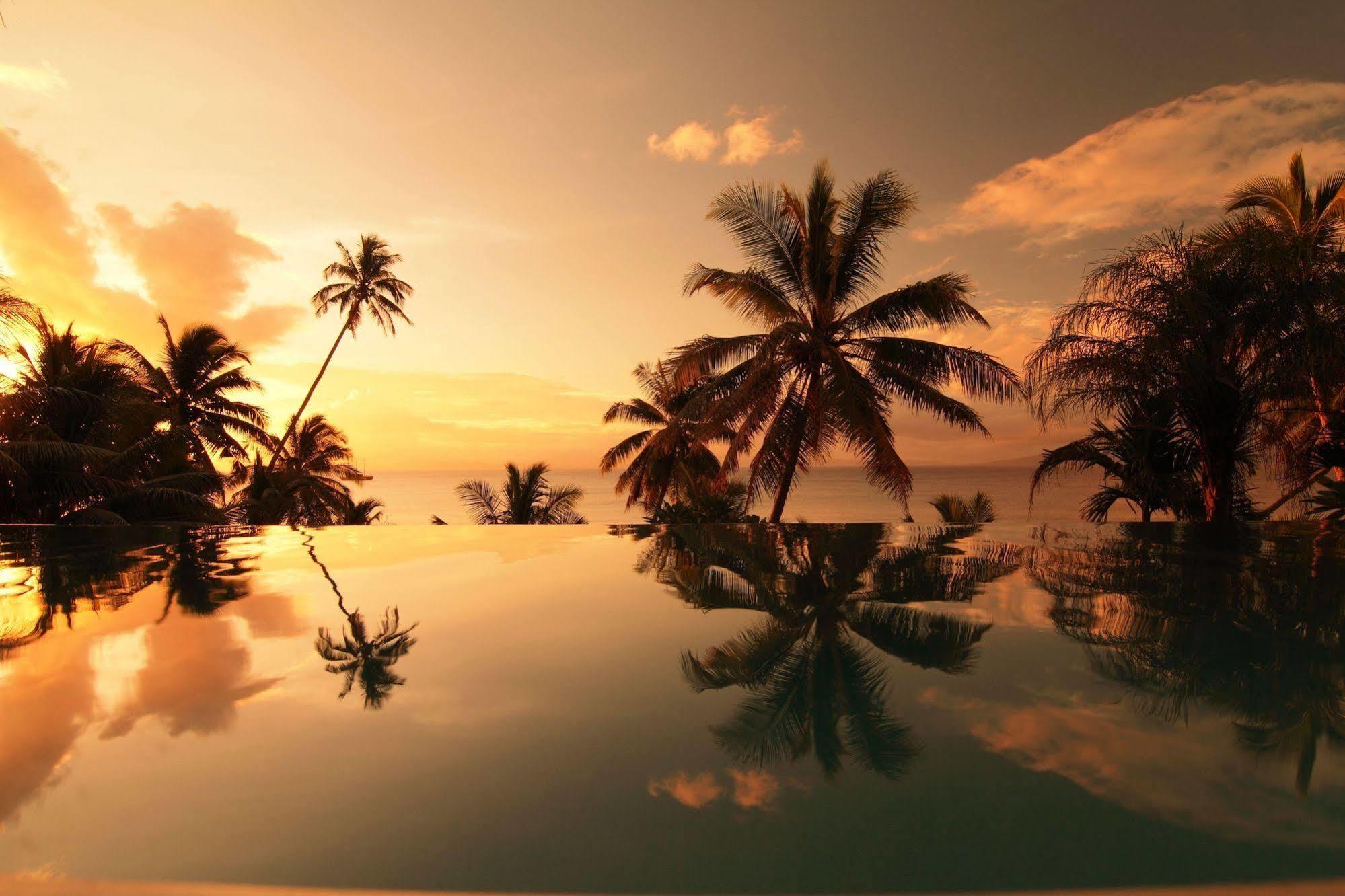 Resort Taveuni Palms