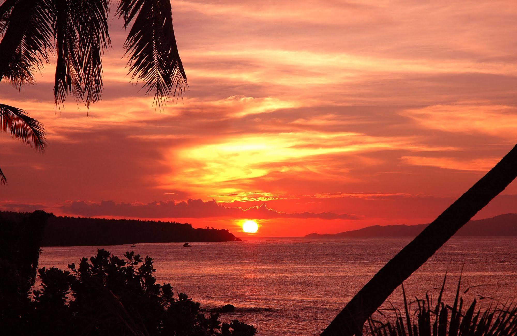 Taveuni Palms Resort Matei
