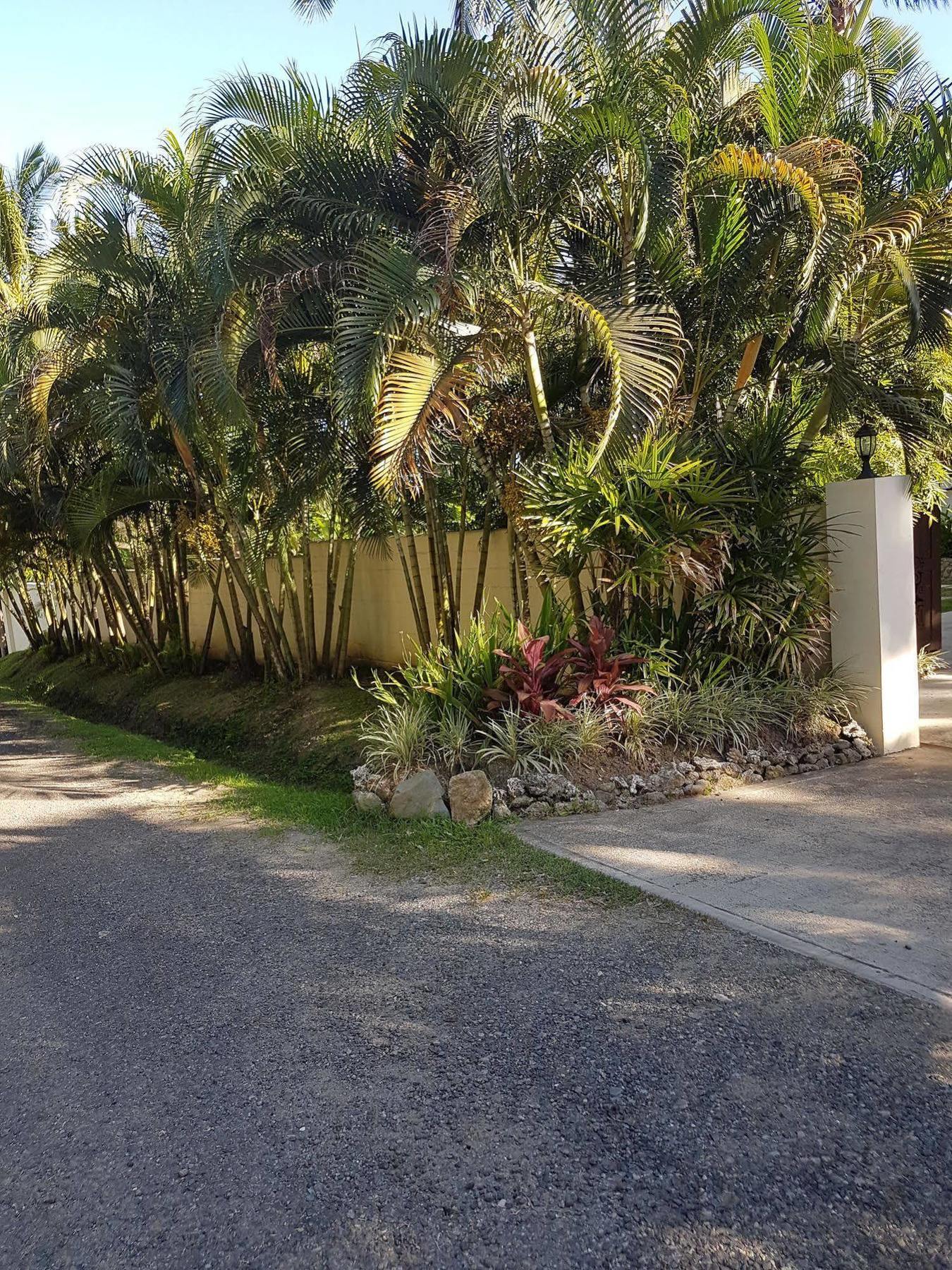 The View Fiji-