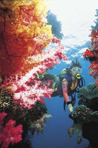 Hotel Jean Michel Cousteau Rst Fiji 5*