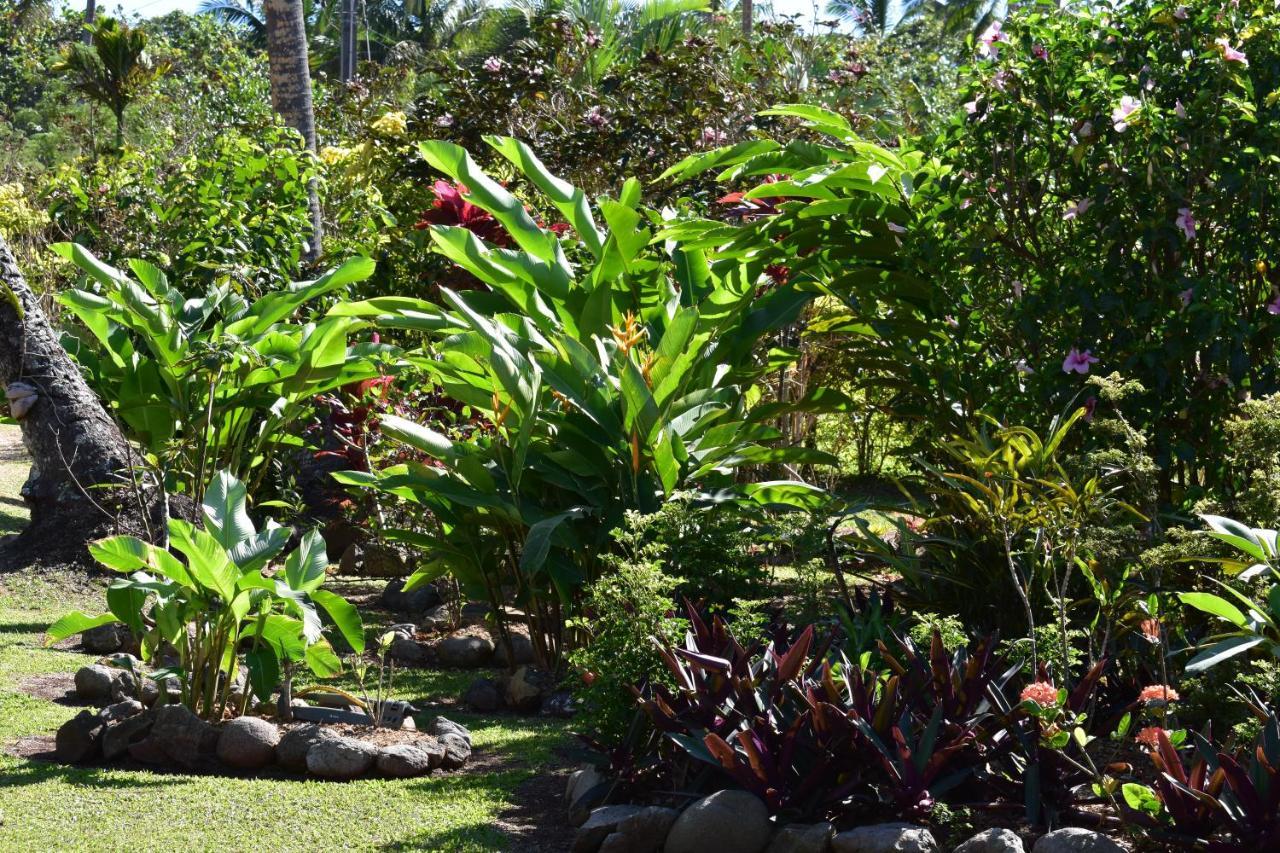 Island Breeze Fiji Savusavu