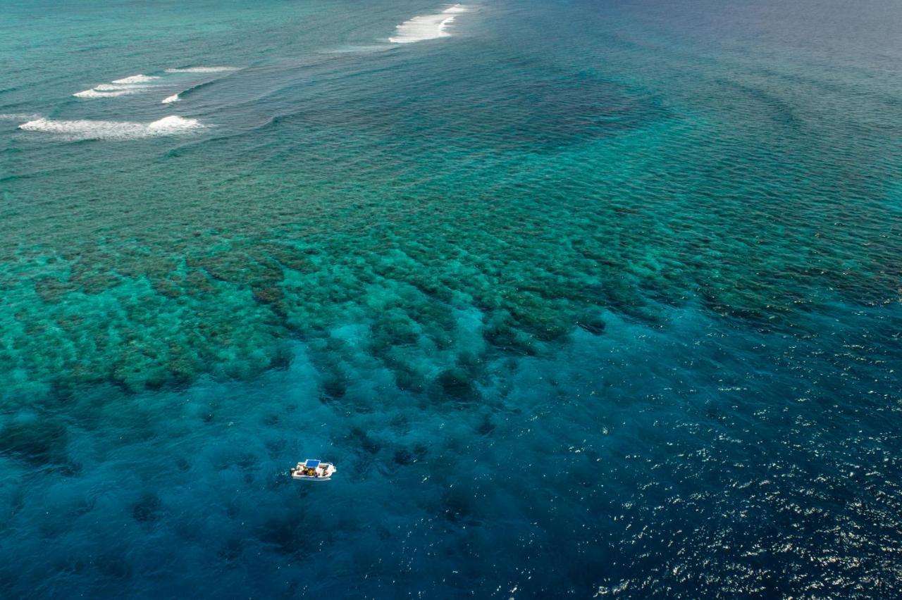 Great Sea Reef