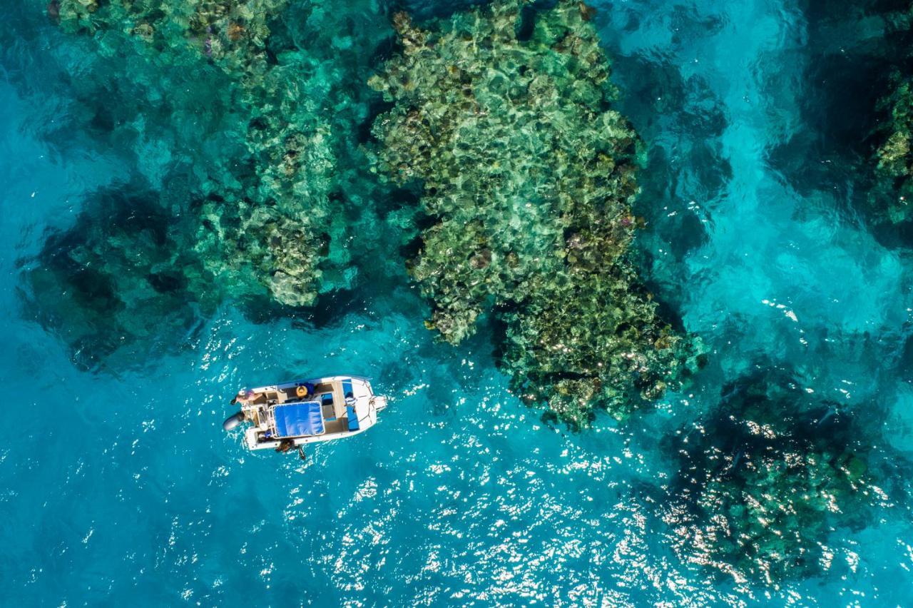 Great Sea Reef 4*